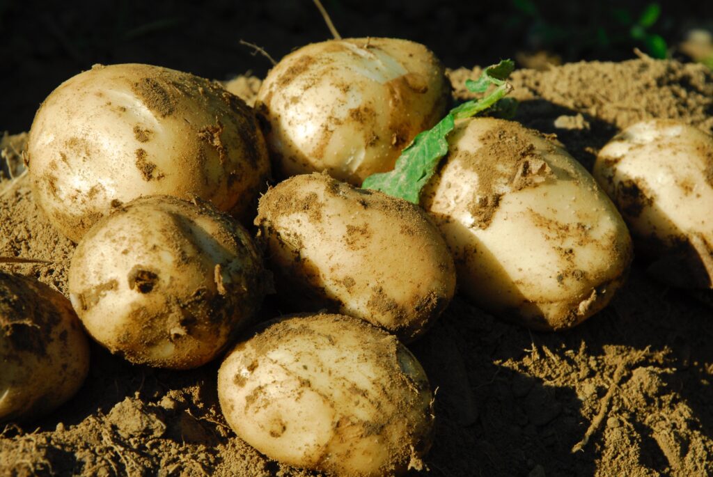 Let’s work together to meet new MRL demands