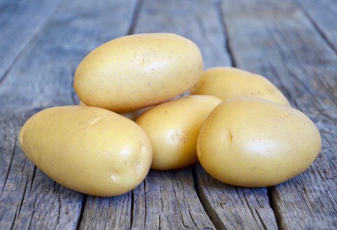 Cultivar Corner: Queen Anne is a ‘visually brilliant’ yellow potato