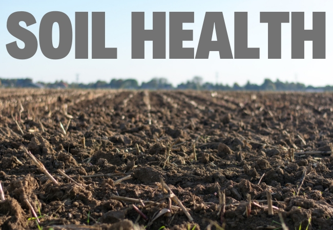 Soil health: Experts say use one-step-at-a-time approach