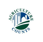 Total potato acres planted up slightly in 2019