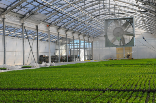 Idaho-based GroupAg now offering Forte Humidifiers