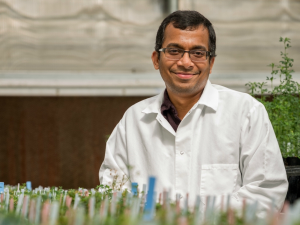 Spudman 7: Chaks Mattupalli goes from finance to plant pathology