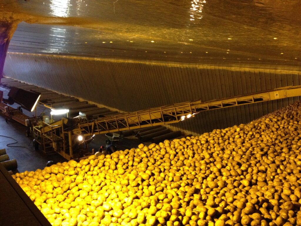 Potato sprout control in storage a changing landscape