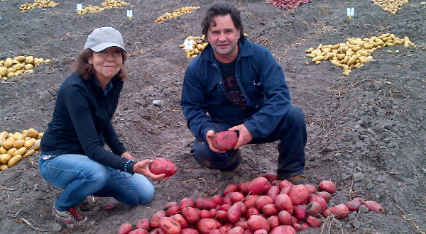 Spudwomen 2016: Eugenia Banks