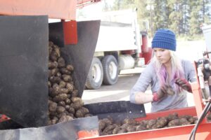 Streich-Farms-potatoes