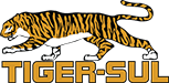 Tiger-Sul adds veteran marketing manager David Hans