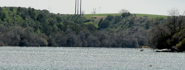 Western ag groups urge new administration, congress to address water infrastructure