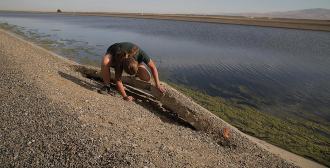 Water problems hinder Western food producers