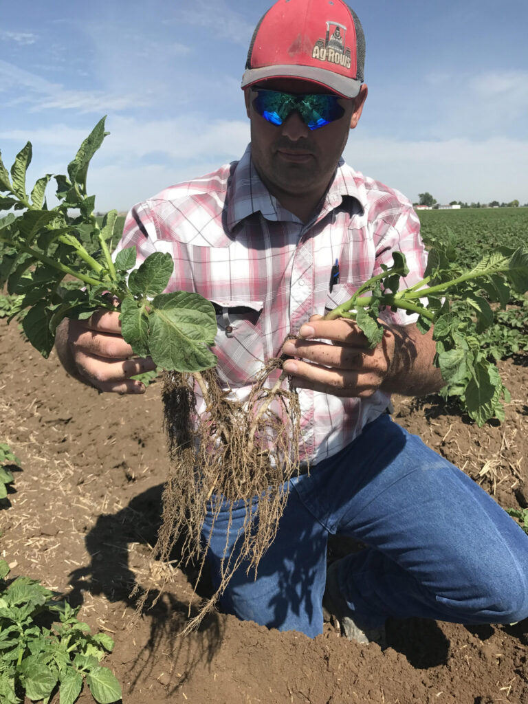 Enhancing soil health, improving yield and building farm resilience