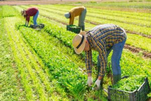 Decision leaves interim rule changing AEWR calculations in effect