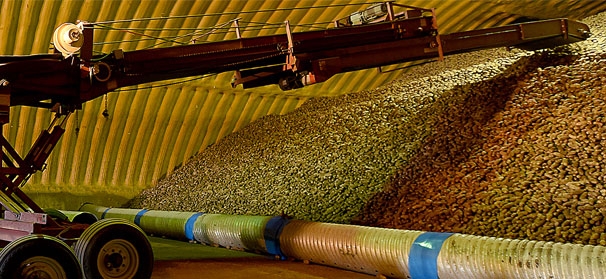 Prospective Potatoes