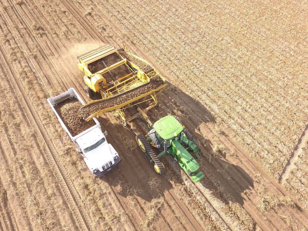 Harvest well underway in Upper Snake