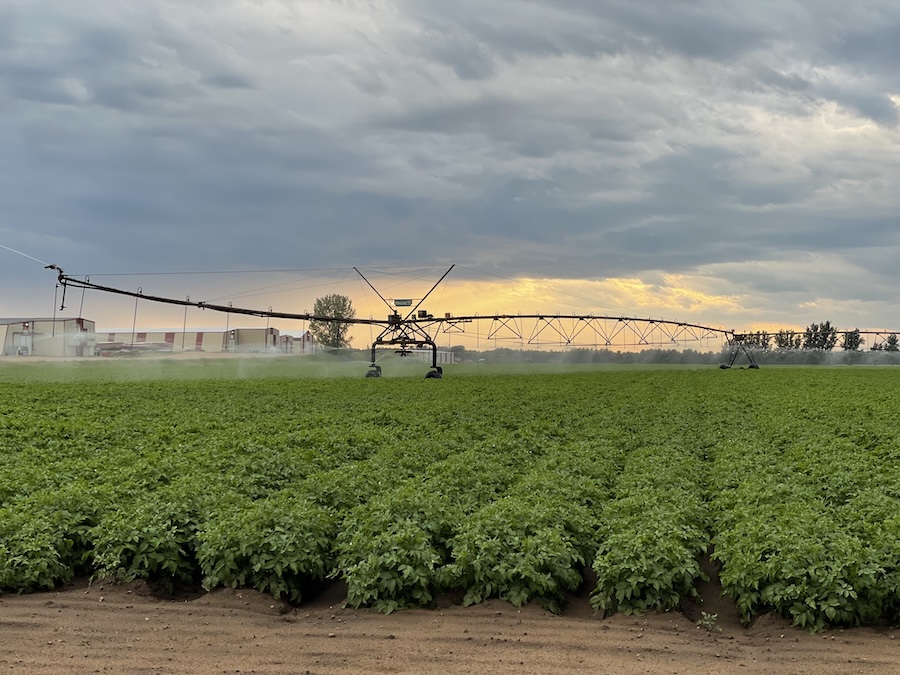 Mobile irrigation lab to provide on-farm analysis, tips for growers