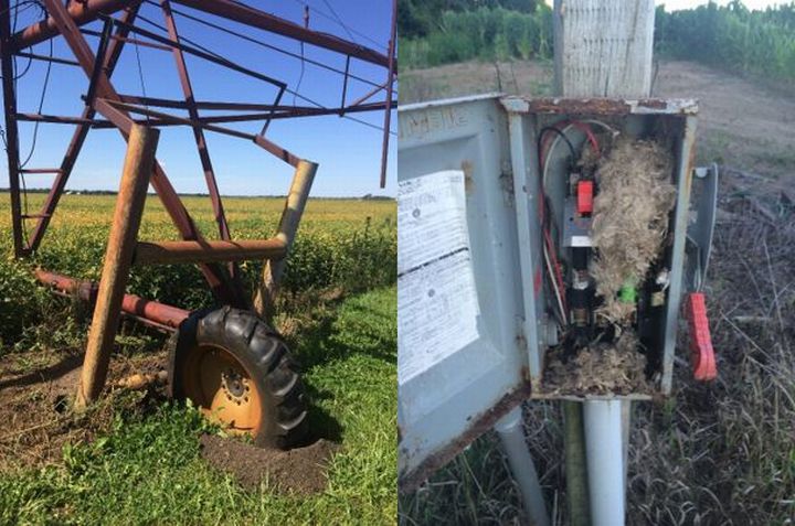 Irrigation checklist: Things to do before you need to start watering