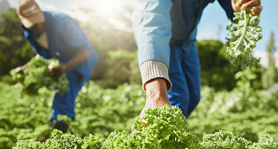 New multistate coalition calls for AEWR calculation transparency