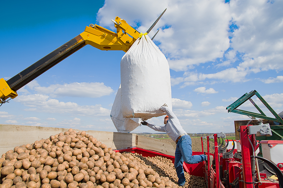 A crane lifts a large sack of potatoes while workers look on