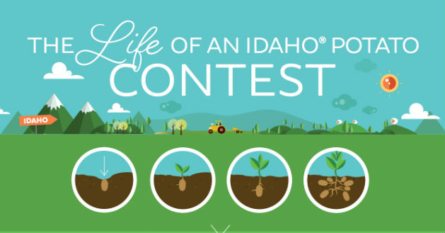 IPC launches foodservice training game