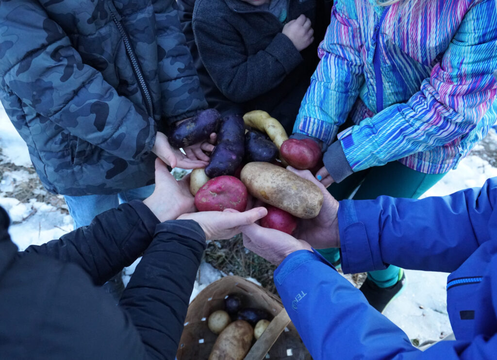 Nature’s Circle Farm
