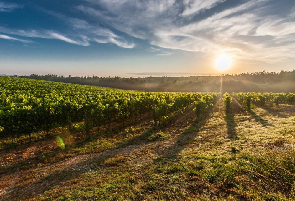 Variable rate technology pays off in the Netherlands