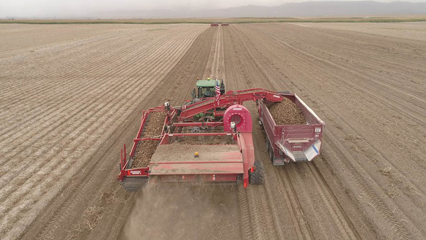Idaho’s spud count was low, but high quality