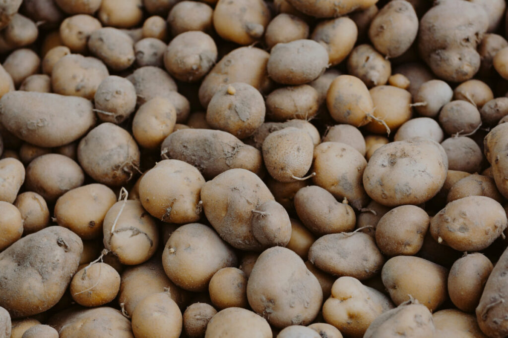 US potato export volume dips from July 2024-March 2025