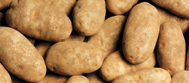 Long term trends, weather might keep russet market healthy