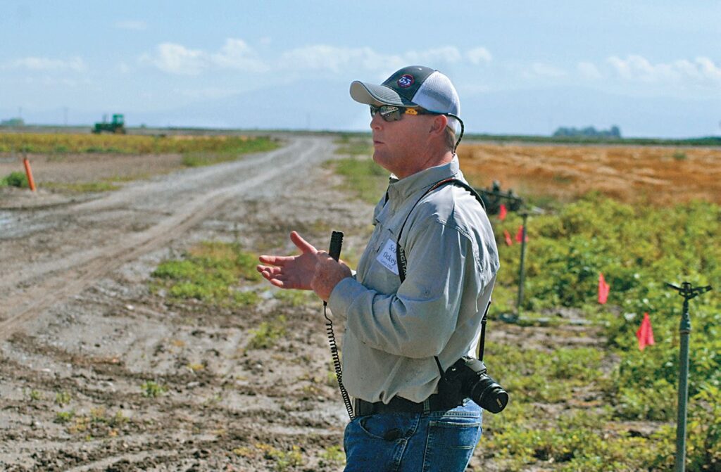 Pest of the Month: Rhizoctonia