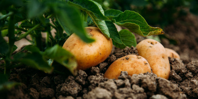 Foreign trade: It’s complicated