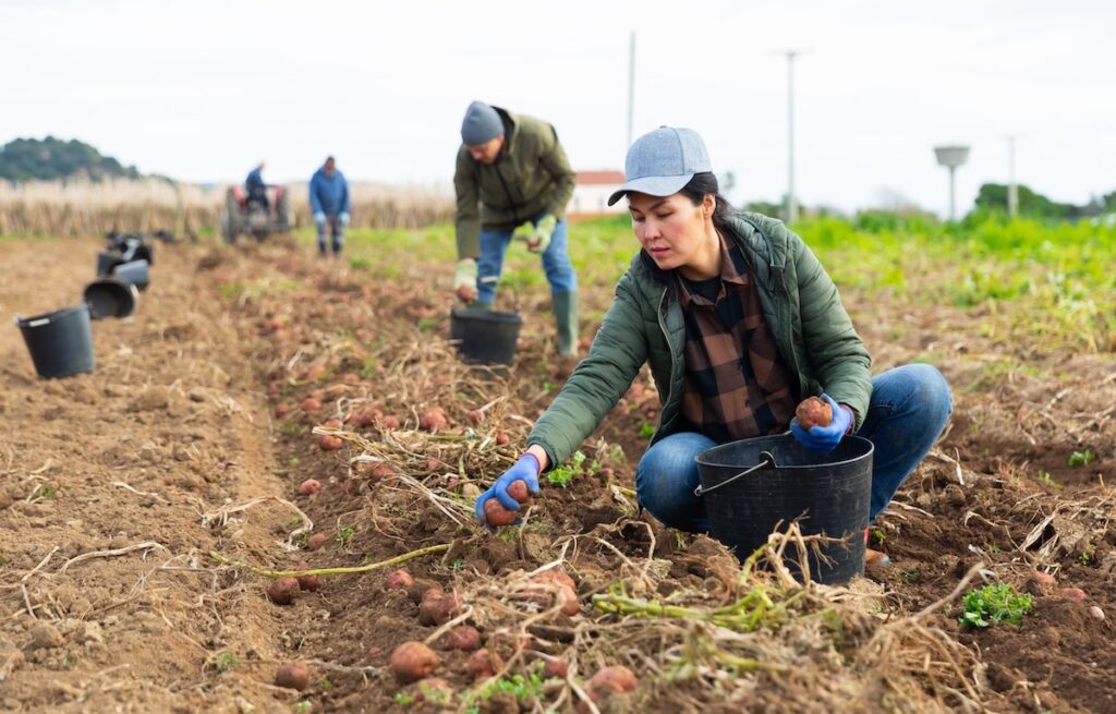 Recent labor developments spark optimism for long-term reform