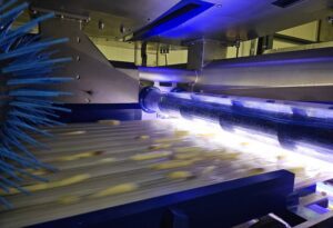 Potatoes move quickly down a processing belt, illuminated by LED lighting