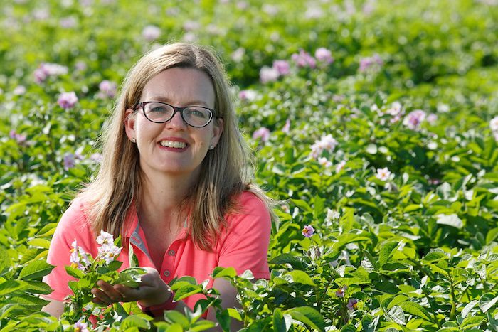 Diversity drives success for Potato Sustainability Alliance