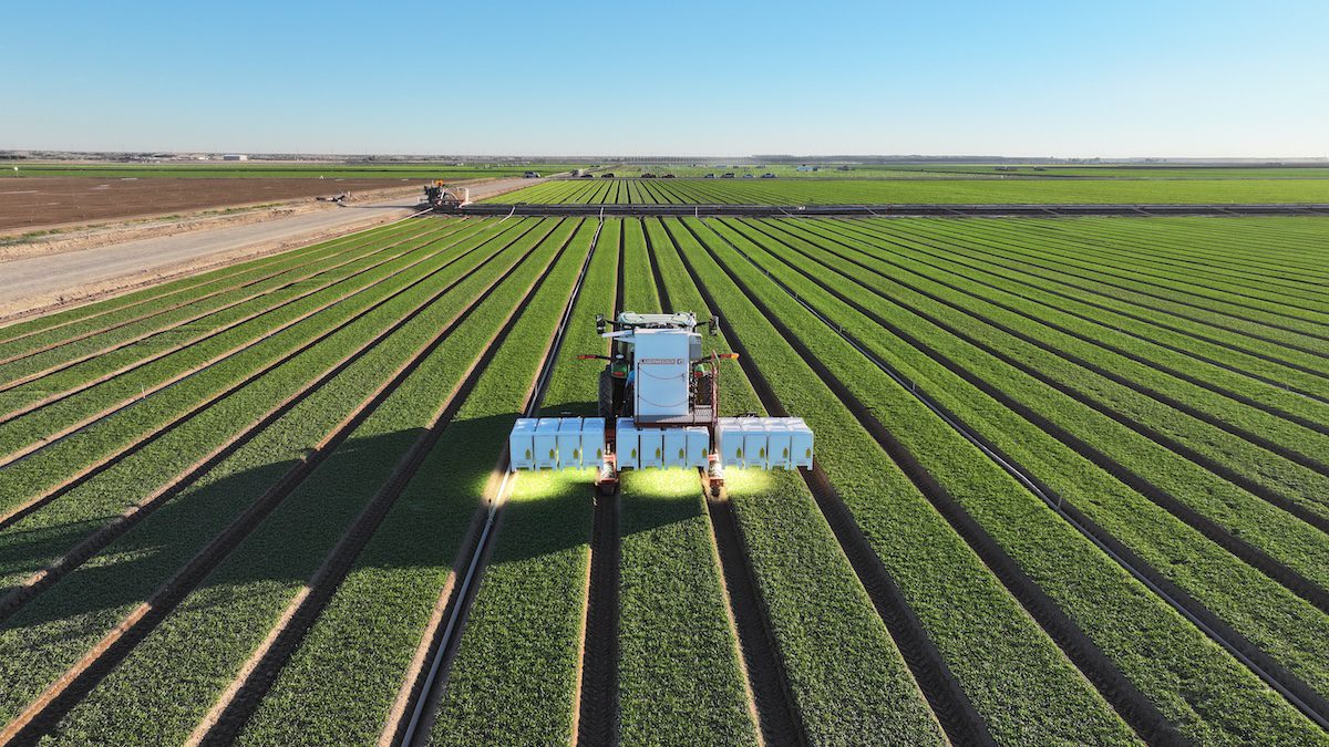 Automated weed control machine moves across rows of crops