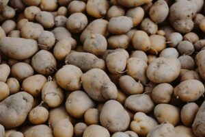 Study: Potato shoppers spend almost double the amount of non-potato buyers