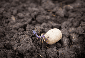 Project aims to define national soil health benchmark