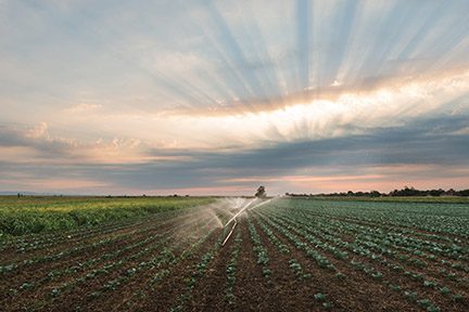 Lake Winnipeg Basin project demonstrates value of water stewardship