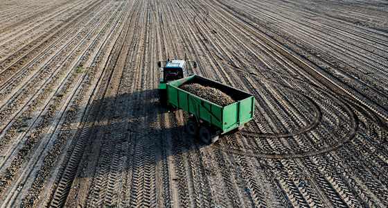 Could acreage decline be good news for growers?