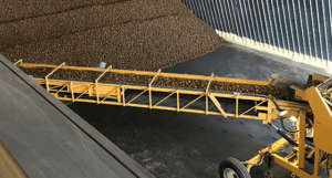 Shifting storage scence: Climate, supply chain, AI driving postharvest trends